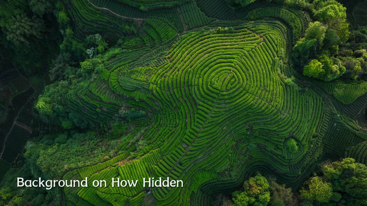 Background on How Hidden