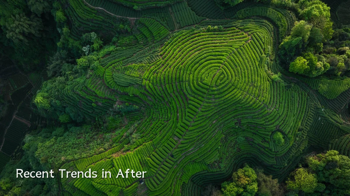 Recent Trends in After