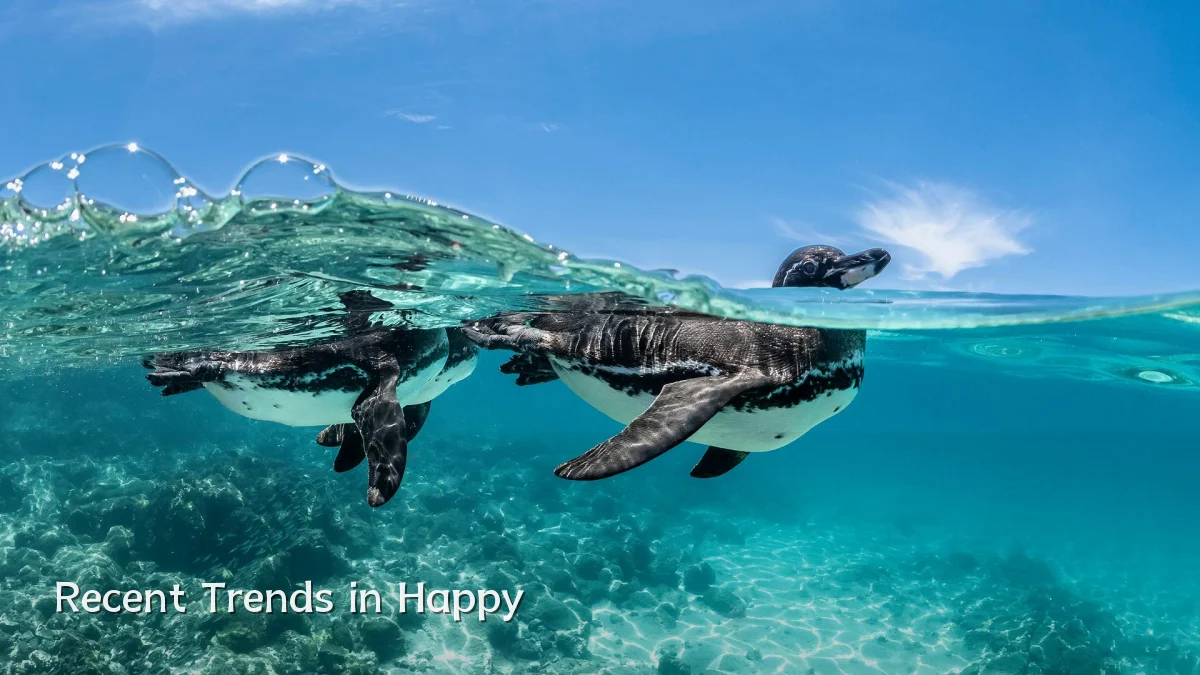 Recent Trends in Happy