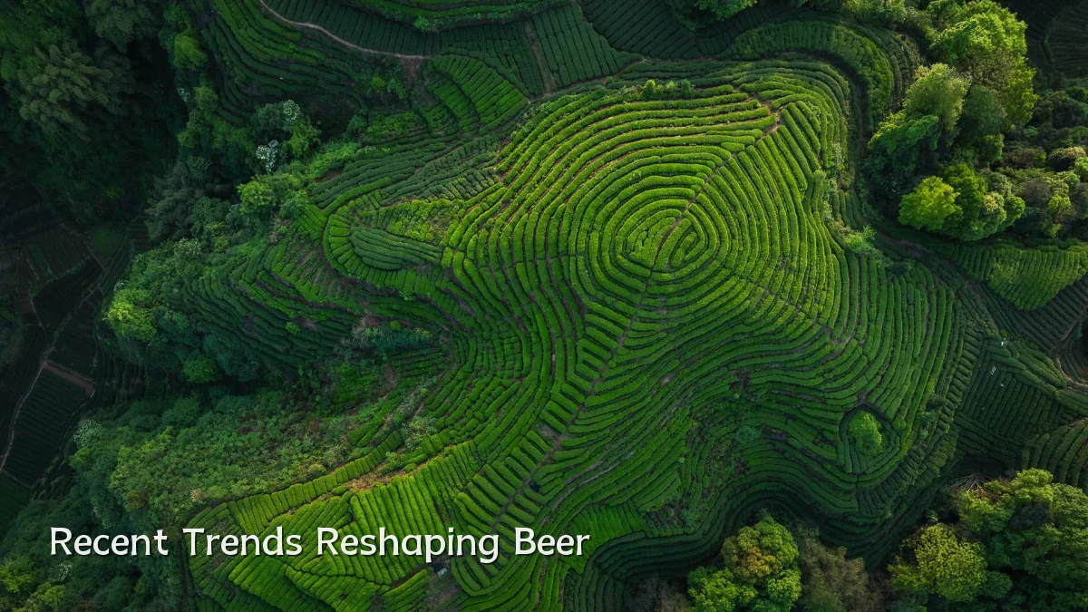 Recent Trends Reshaping Beer