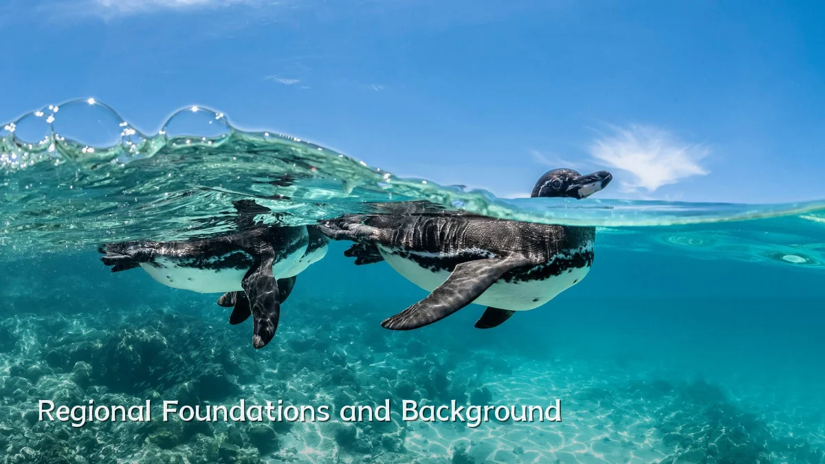 Regional Foundations and Background