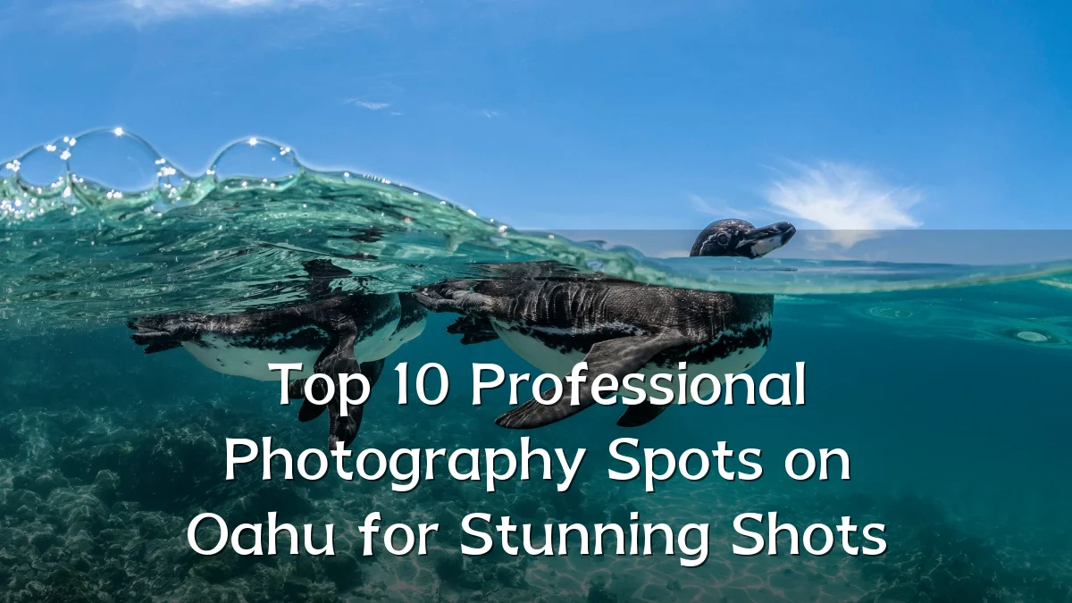 Top 10 Professional Photography Spots on Oahu for Stunning Shots